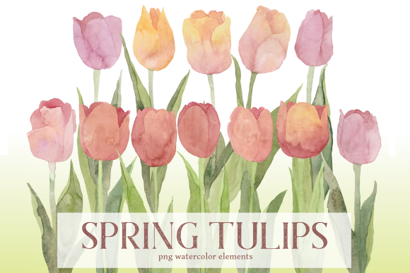 Evaluating the Pale Spring Tulips Watercolor Floral Set for Professional Design