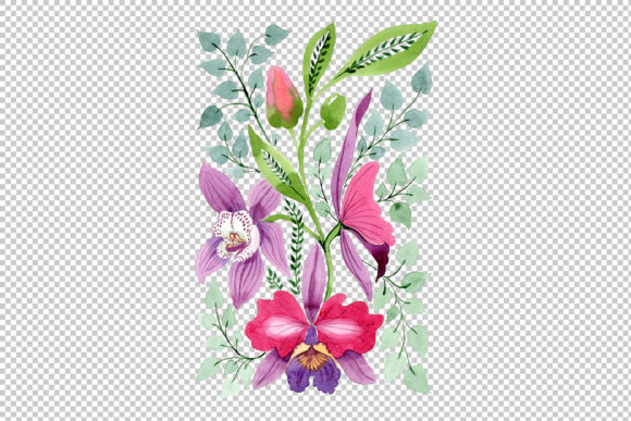 Floral Ornament of Orchid Flowers Set Guide
