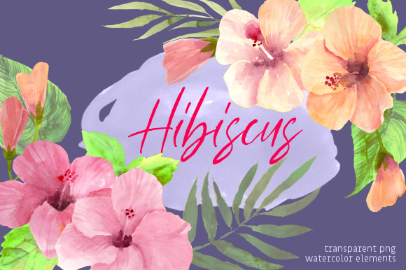 Summer Hibiscus Floral Watercolor Set Guide